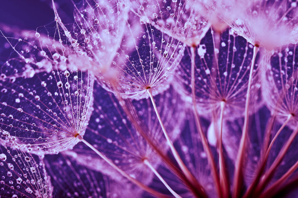macrobeeld van water