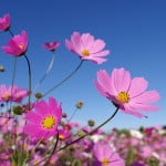 Pentax-FA 11-18 f/2.8