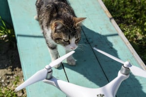 DJI Phantom 5 project cancellatie