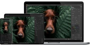Lightroom Header
