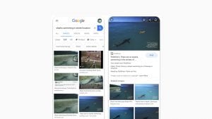Google Afbeeldingen