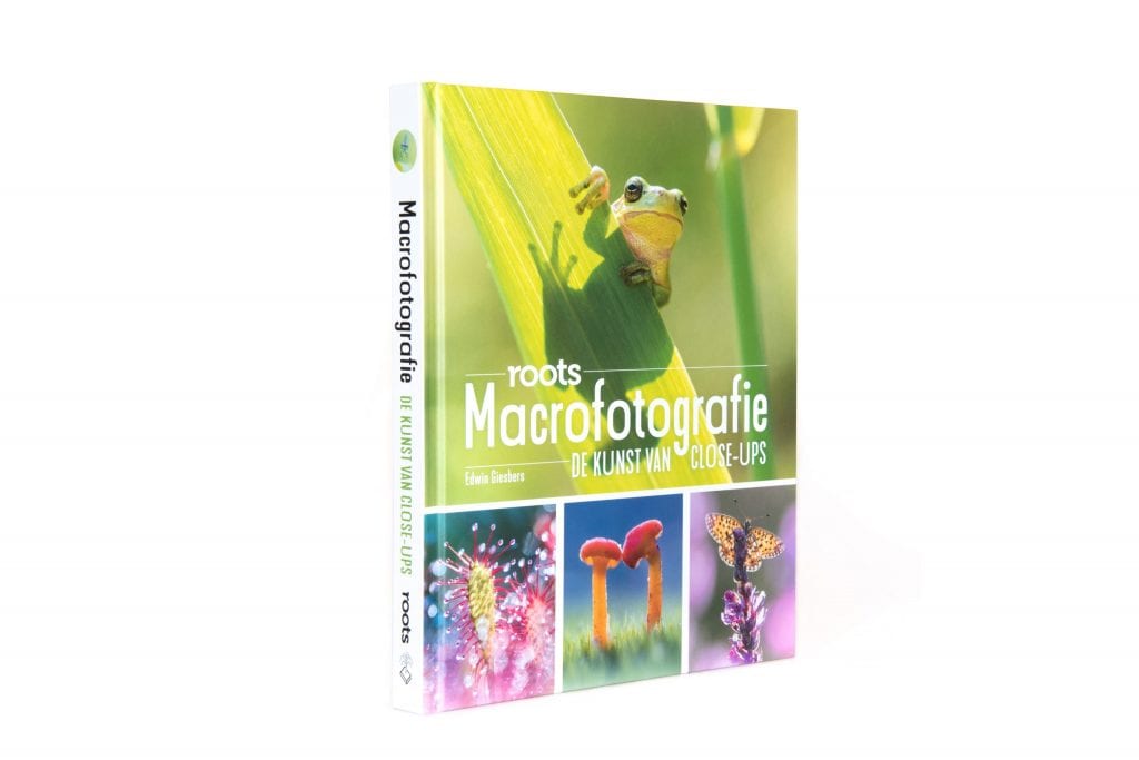 boek Edwin Giesbers