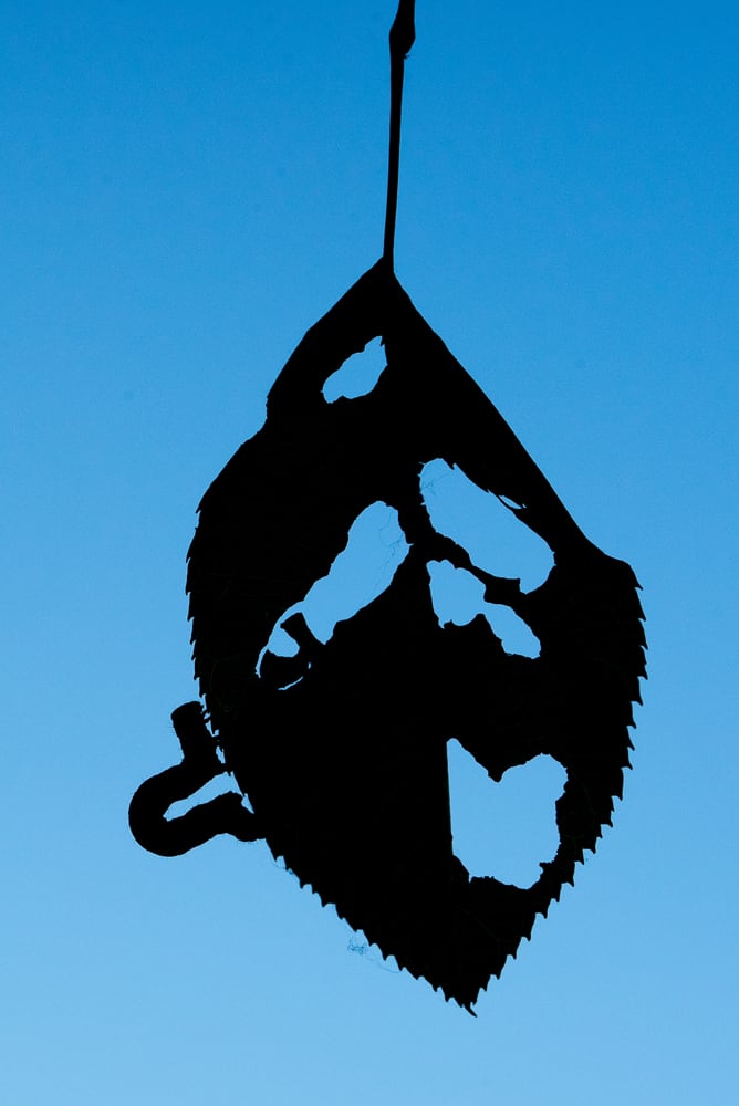 Rupsen Edwin Giesbers