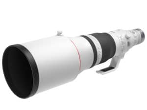 Supertelelenzen met Canon RF