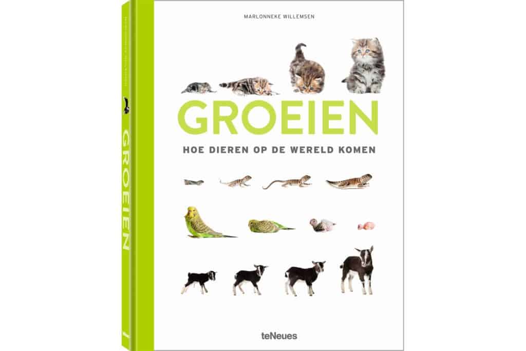 Marlonneke Willemsen