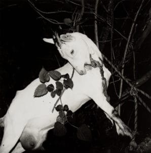 Issei Suda