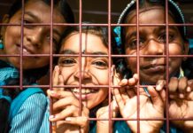 Kleurentheorie met Kattoo Hillewaere