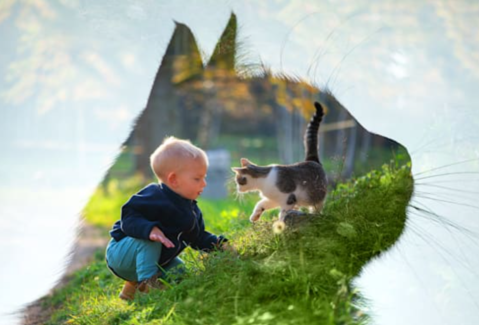 Photoshop Elements 2022