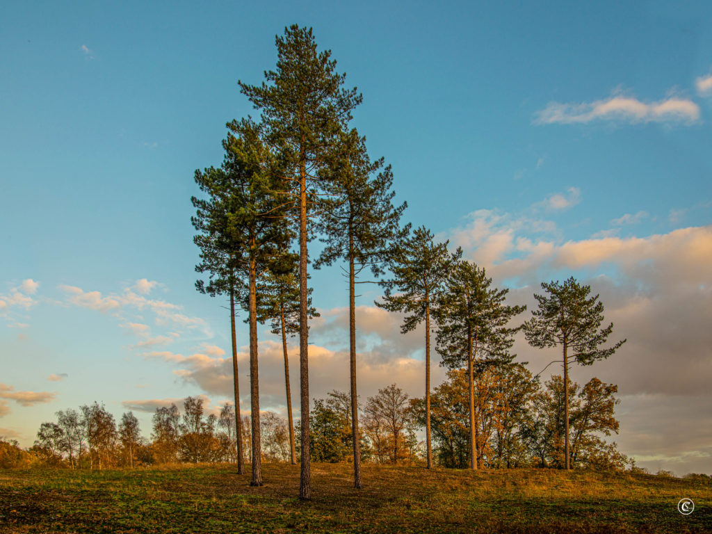 Herfst