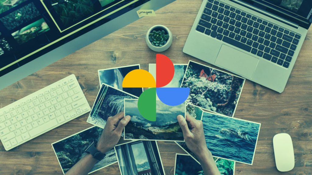 fotocollectie google foto's
