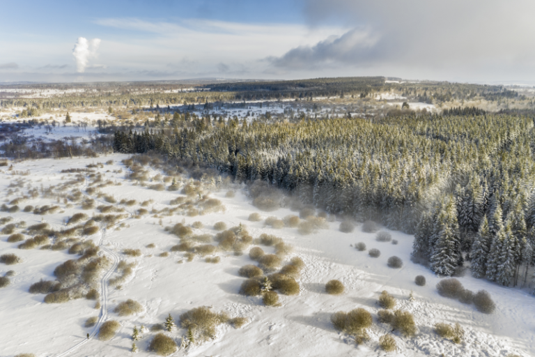 Brackvenn in de winter: desolate veenlandschappen