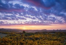 Basiskennis fotografie: De lens