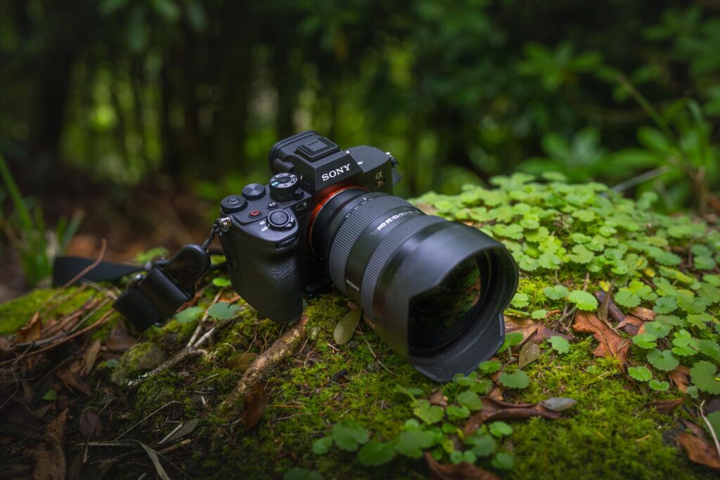 Sony A7R V Madeira