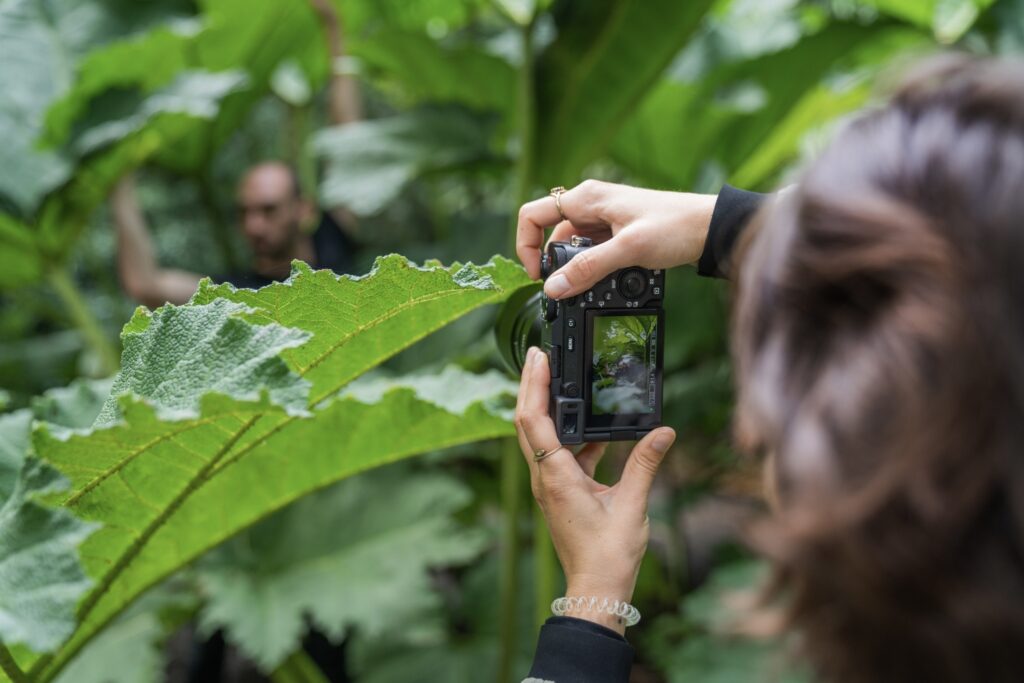 foto in groene omgeving tussen planten