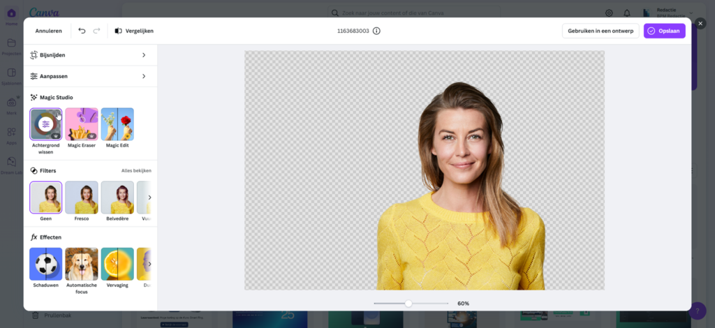 Achtergrond verwijderen in Canva Pro