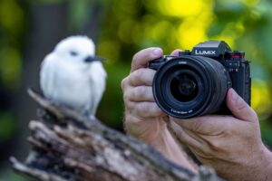 Foto van Panasonic LUMIX S1RII met vogel