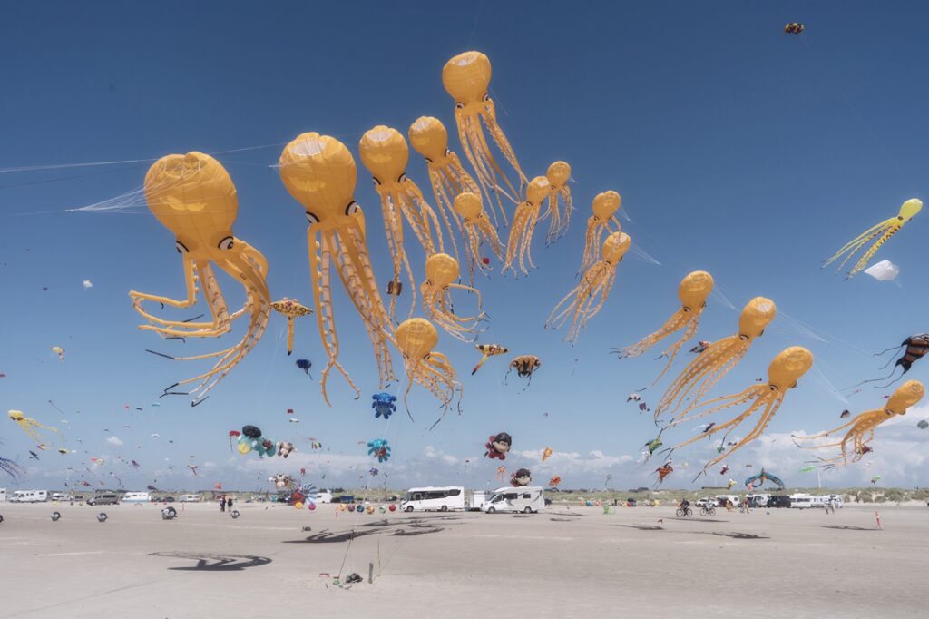 Sony World Photography Awards 2025 object