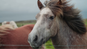 aiarty video enhancer