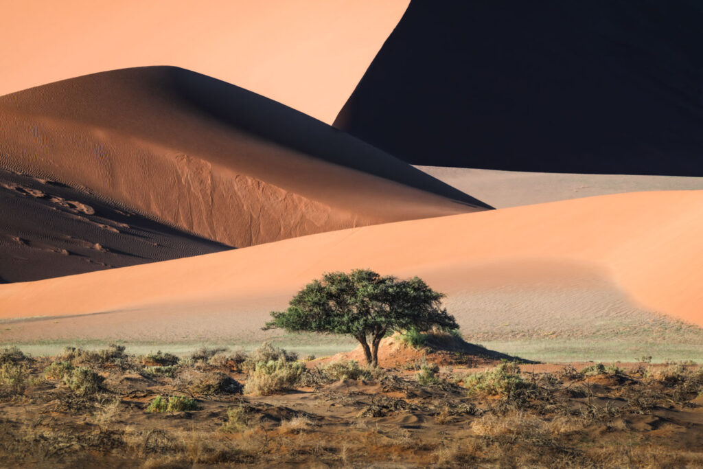 J Fritz Rumpf - Shapes and Patterns of the Desert