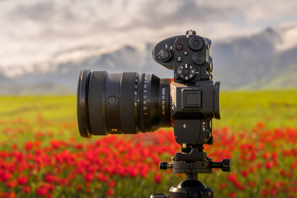 Sony A7R VI in veld vol rode bloemen