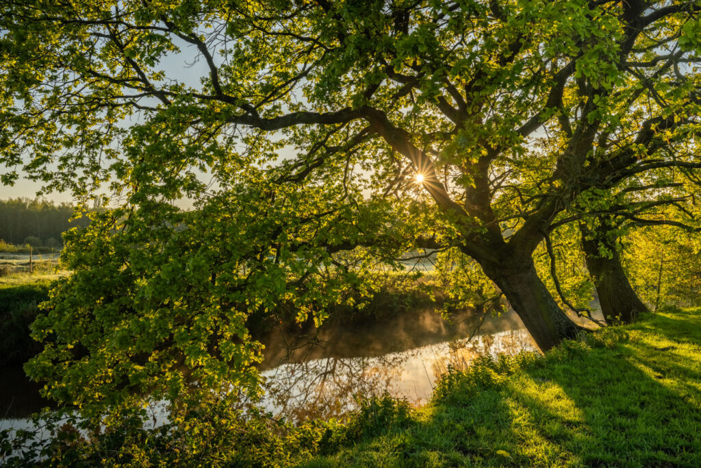bracketing en HDR-fotografie in het landschap, meerdere belichtingen combineren bij landschapsfotografie