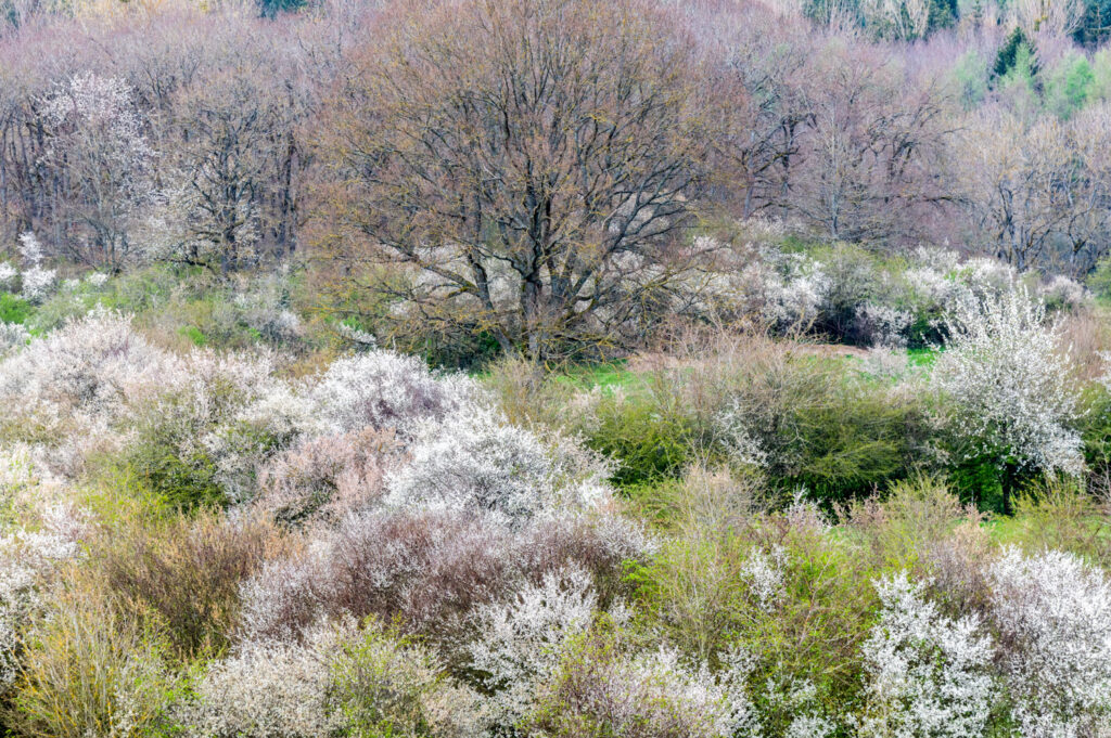 abstracte landschapsfotografie vormen lijnen texturen patronen compositie telelens