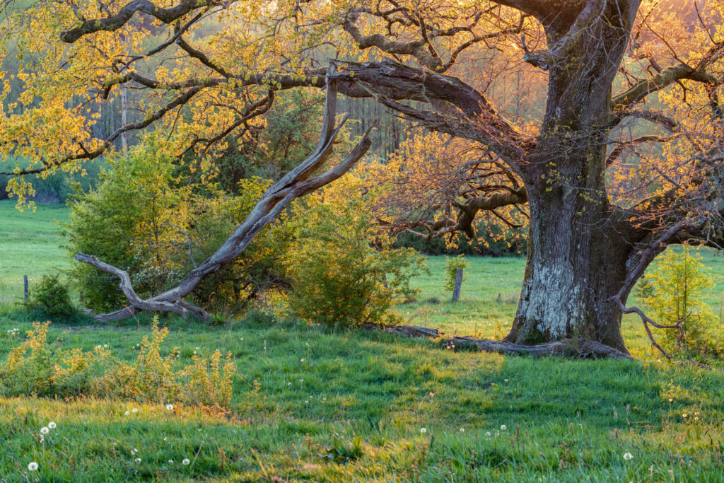 lucht weglaten landschapsfoto compositie sfeer beter tot uiting brengen