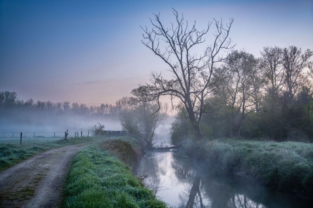 compositie in landschapsfotografie met diepte en evenwicht, herfstlandschap met waterreflectie en bomen