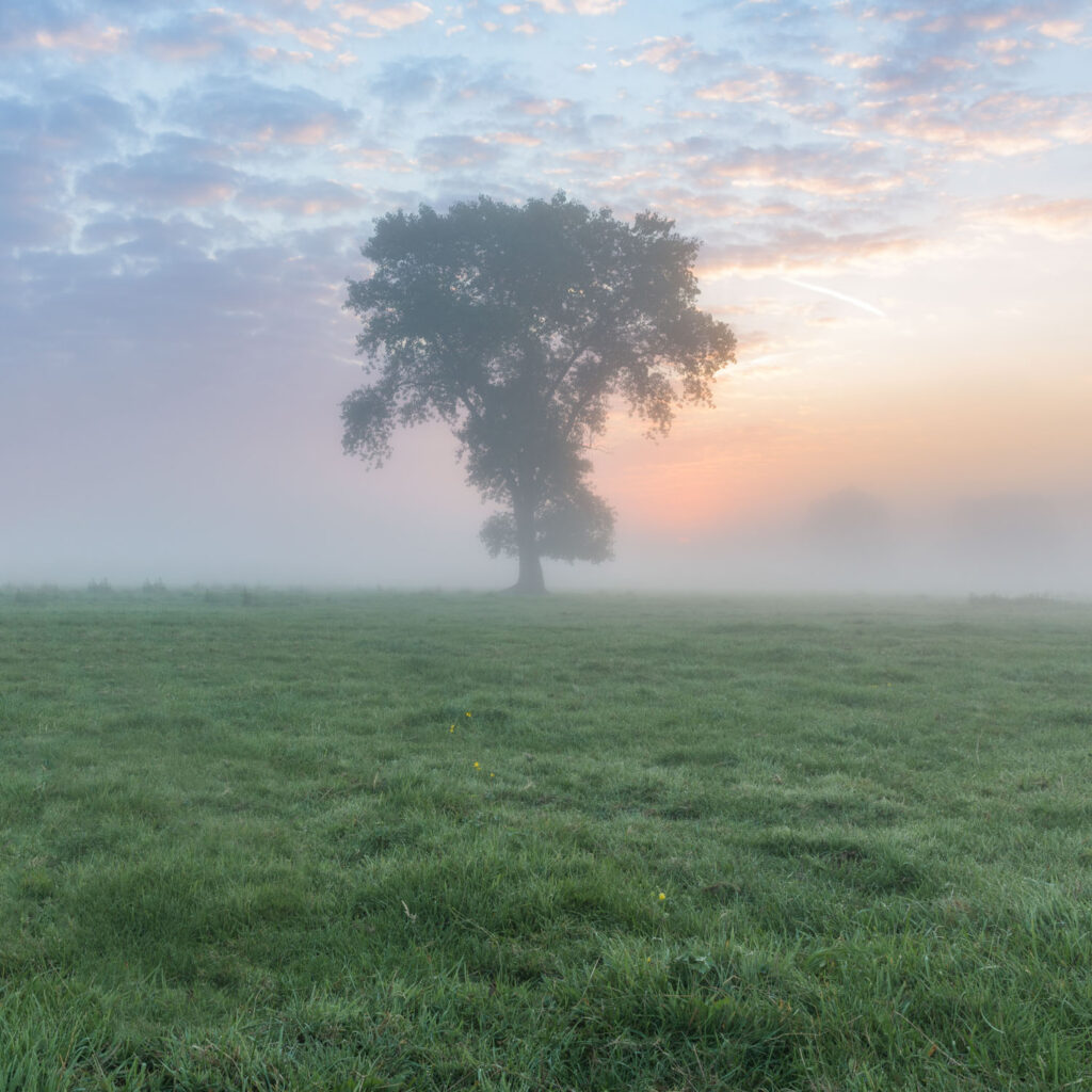 voorgrond compositie landschapsfotografie balans voor- en achtergrond inzoomen