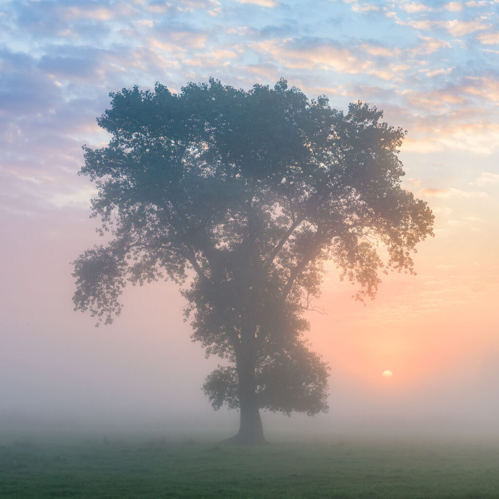telelens compositie landschapsfotografie balans voor- en achtergrond inzoomen