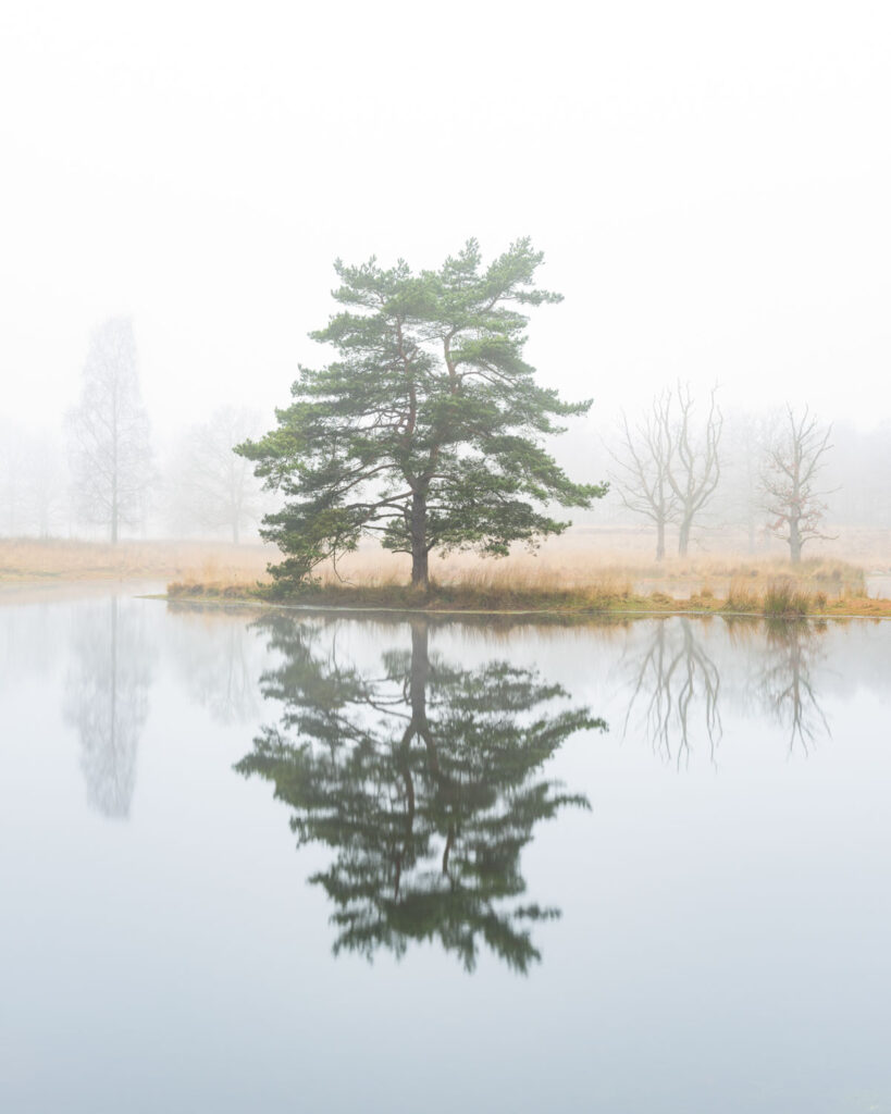 mistig landschap minimalistische natuurfotografie verborgen elementen mist