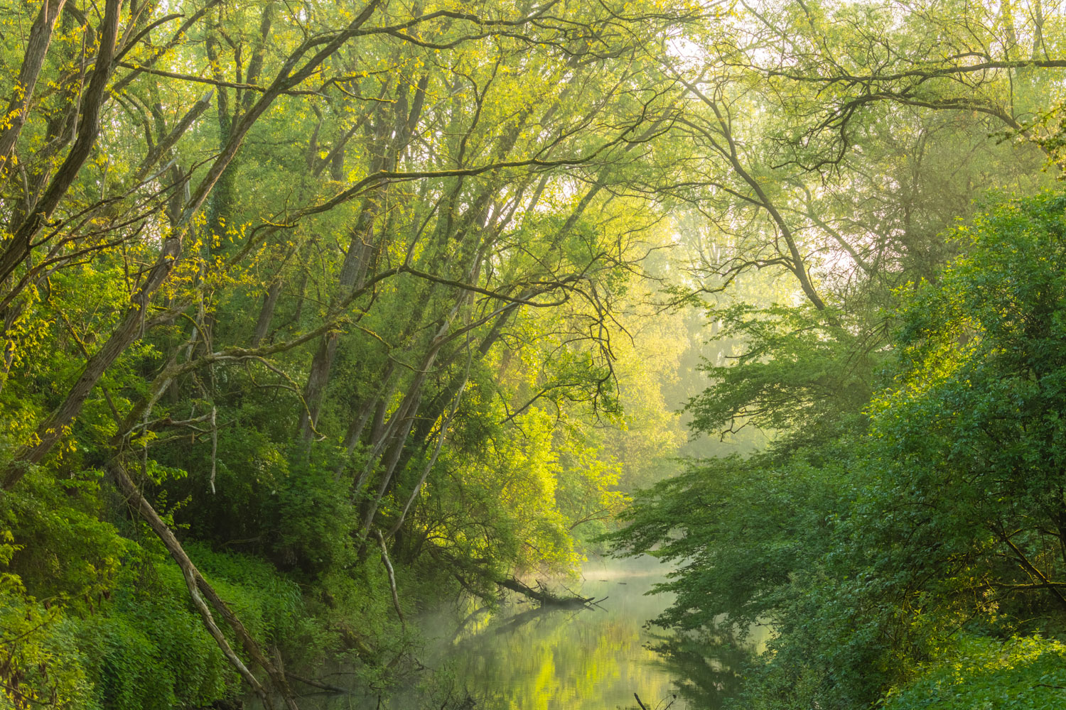 HDR beeld rivier de Mark