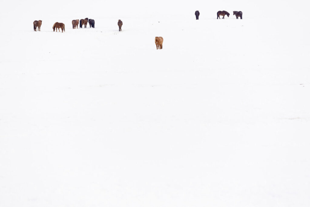 telelens minimalistische landschapsfotografie zoomen negatieve ruimte onderwerp