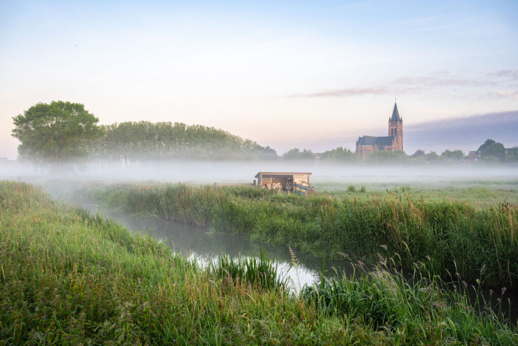 nabewerking landschapsfotografie in Adobe Lightroom, RAW-bewerking voor meer kleur en contrast in landschapsfoto