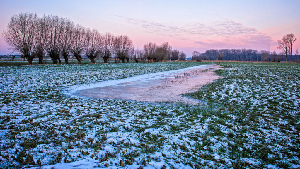 groothoekfotografie winterlandschap diagonale compositie bomenrij en waterpartij