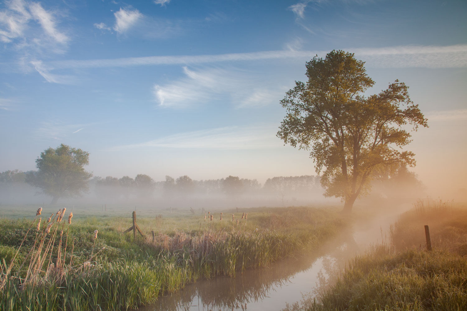 mistig landschap groothoeklens compositie landschapsfotografie Bart Heirweg