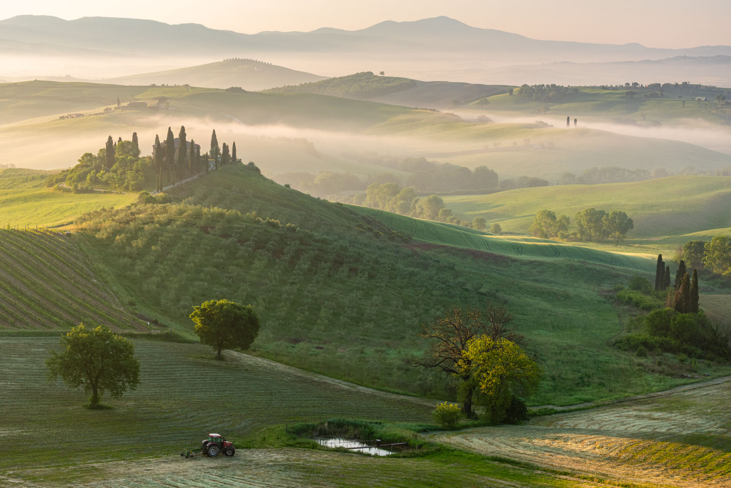 reisfotografie van een mistig Toscaans heuvellandschap bij zonsopgang met cipressen