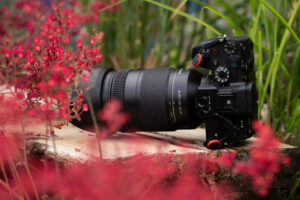 Samyang lens omgeven door rode planten