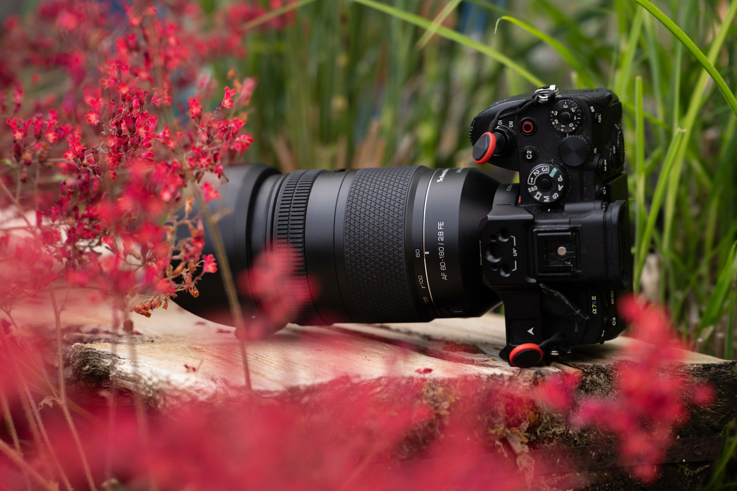 Samyang lens omgeven door rode planten