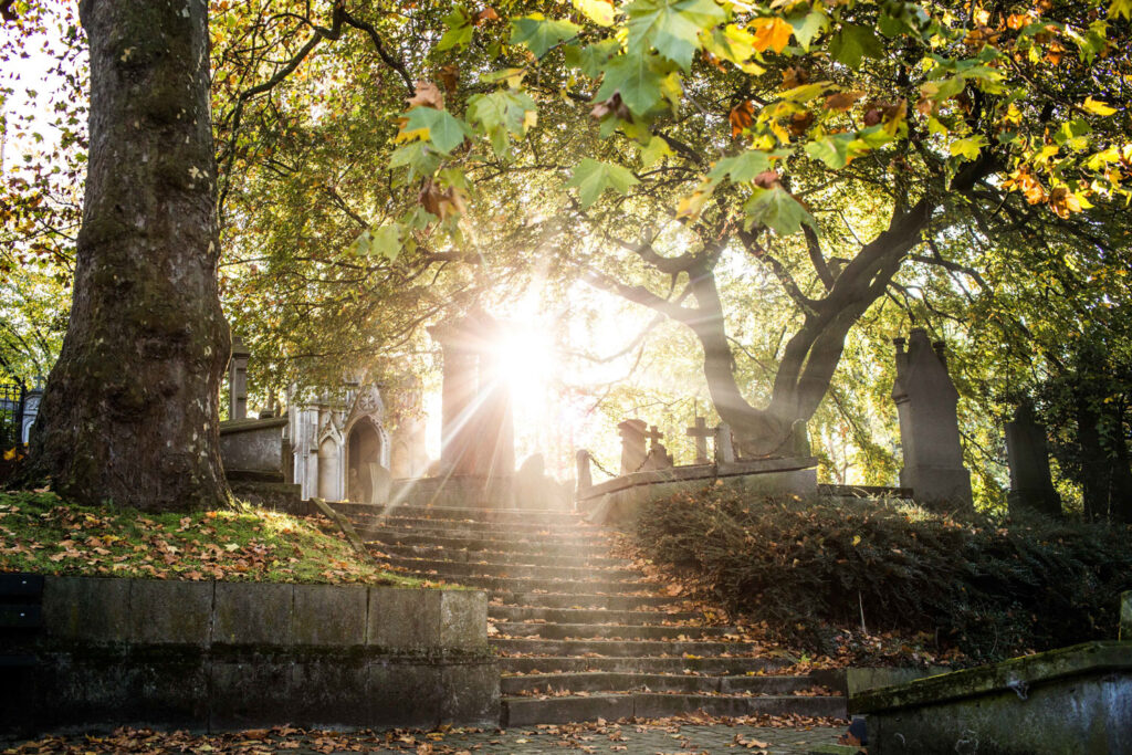 Begraafplaats Campo Santo in Gent in herfstkleuren met monumentale praalgraven, fotograferen in Gent in de herfst