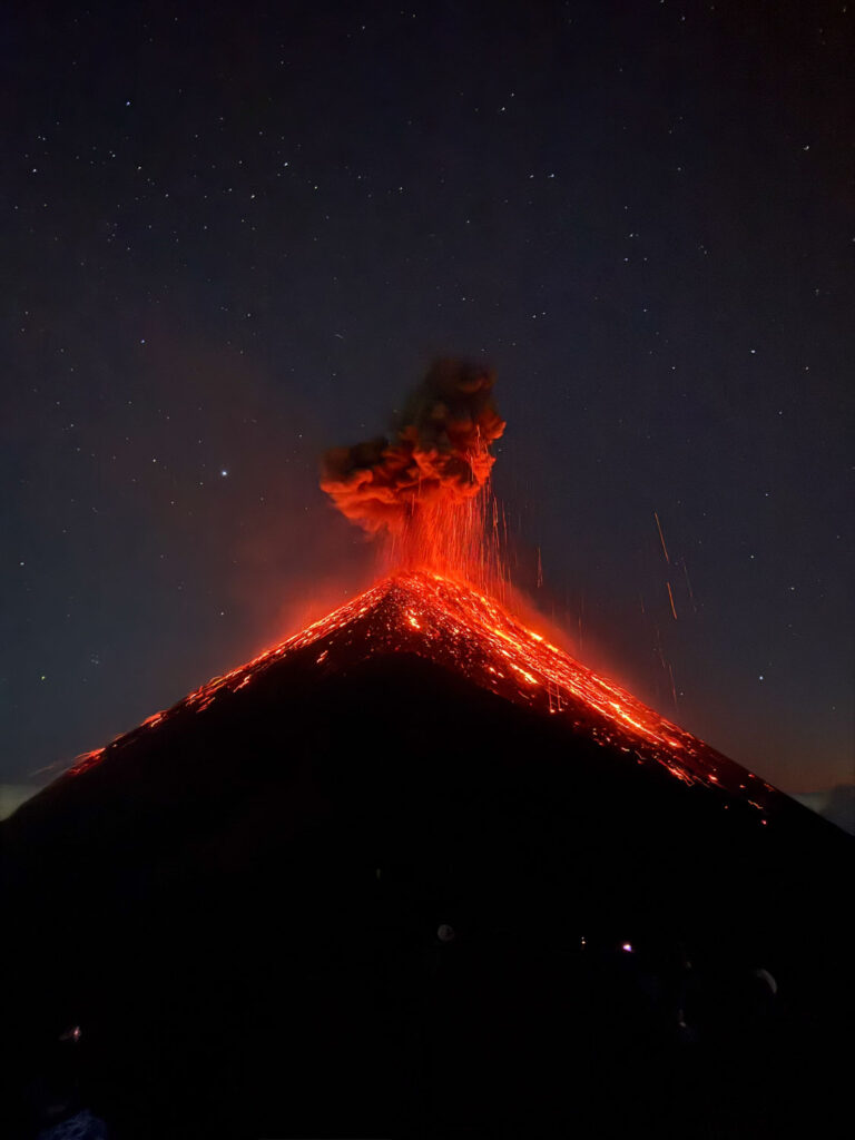 Bekroonde natuurfoto gemaakt met een iPhone 15 Pro, hoofdprijswinnaar IPPAWARDS 2026