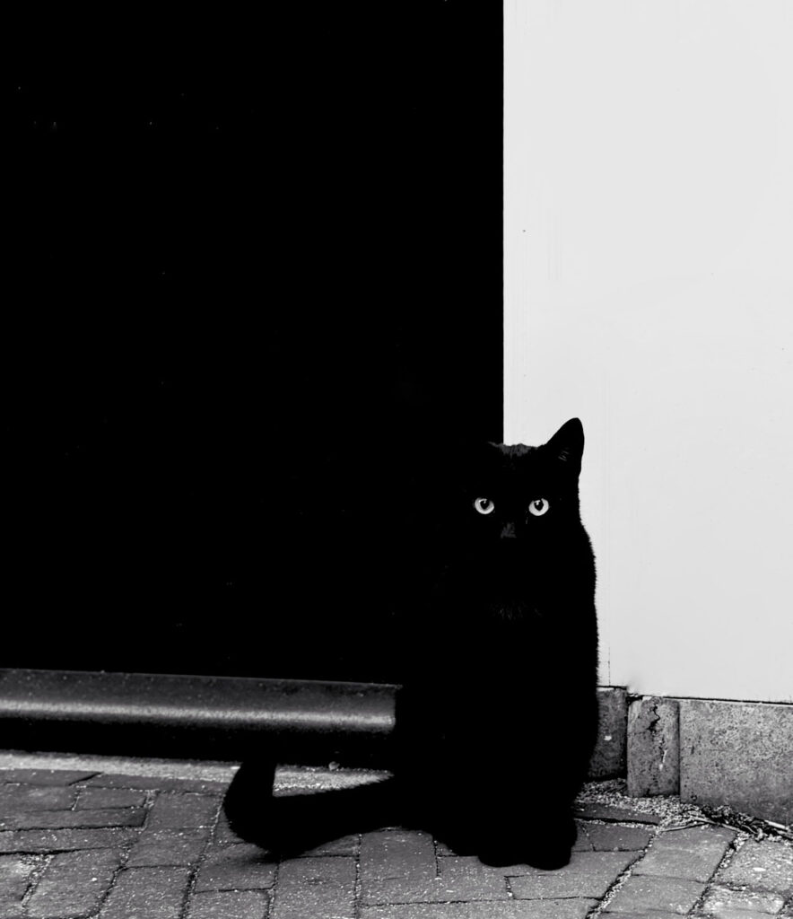 Winnende foto Silver Photographer of the Year IPPAWARDS 2026.
