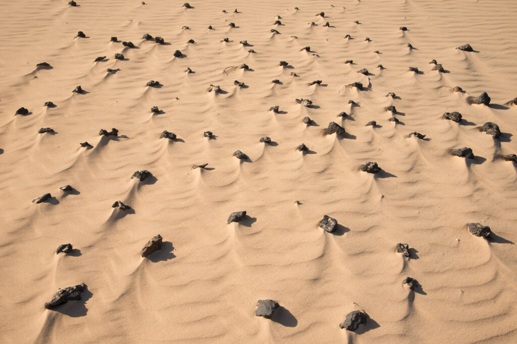 Stenen als beeldelementen in het zand van Parque Natural de Corralejo op Fuerteventura