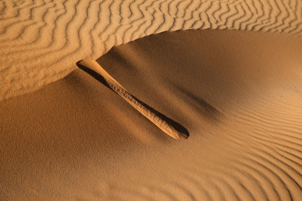 Lijnenspel in de zandduinen van Parque Natural de Corralejo op Fuerteventura