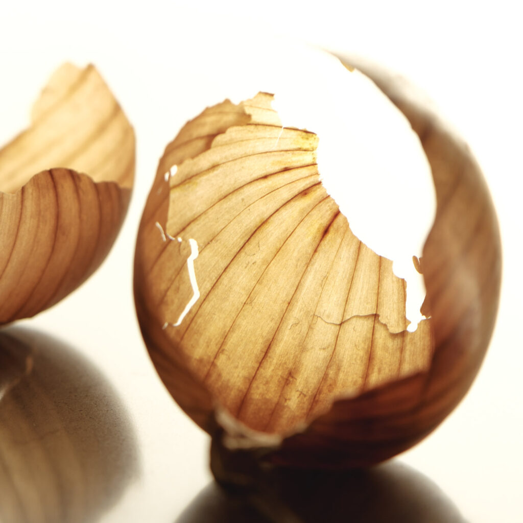 Macro foodfotografie van een doorschijnende ajuinschil in tegenlicht