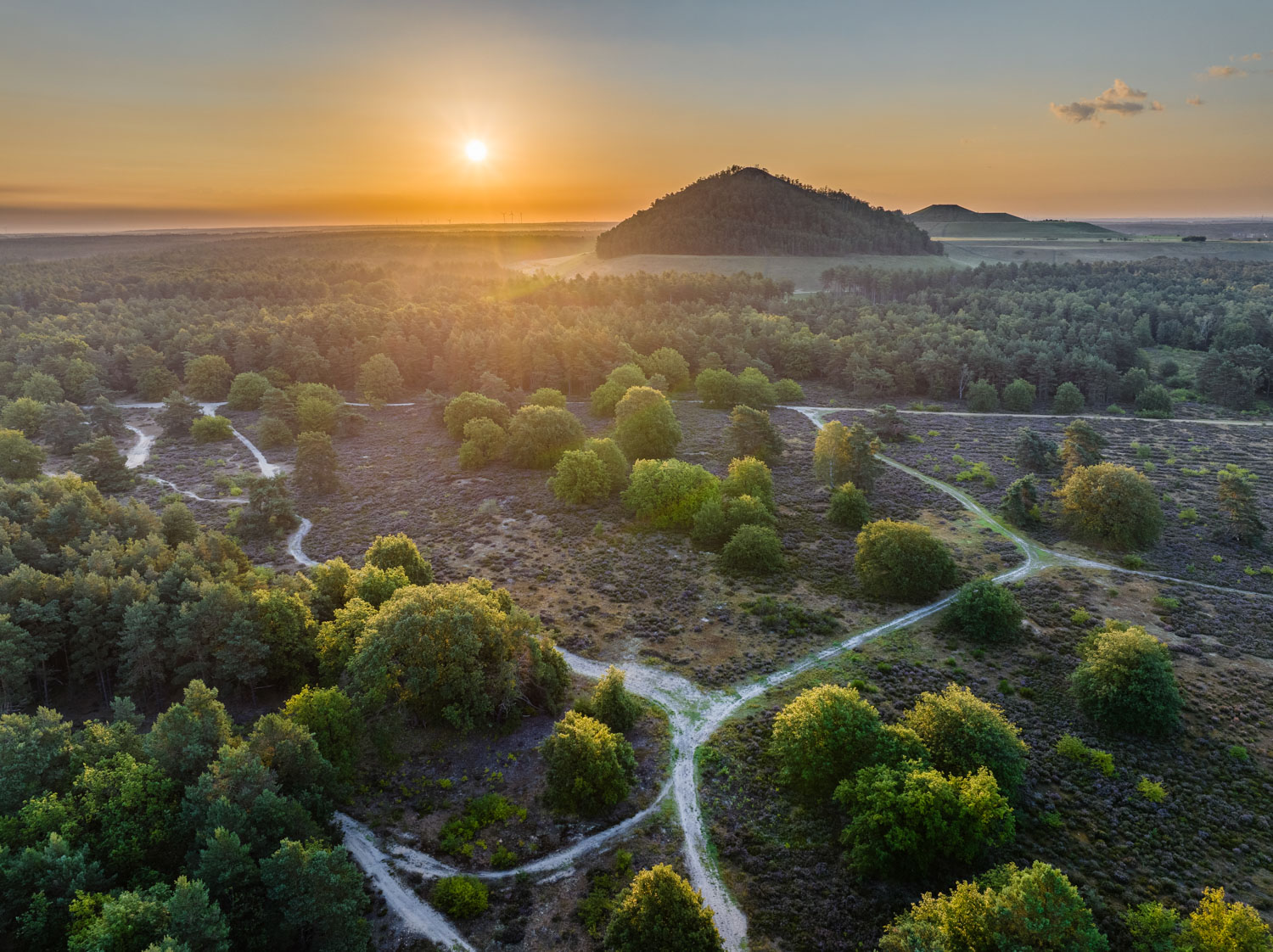 Luchtfoto van heidegebied Opglabbekerzavel bij zonsopgang met de terril van Waterschei aan de horizon