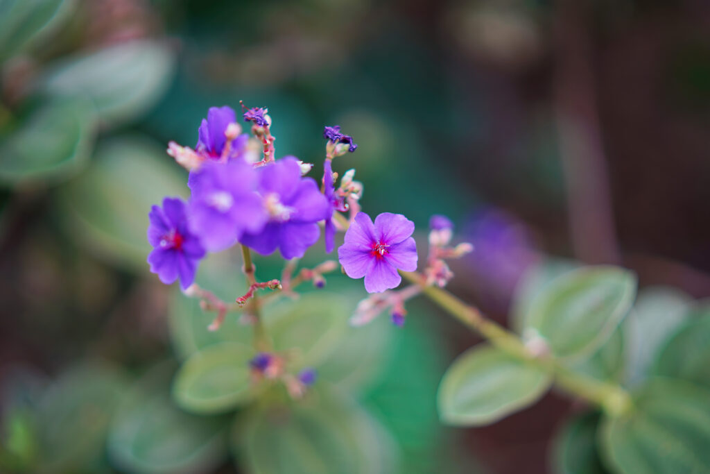 f/1.05