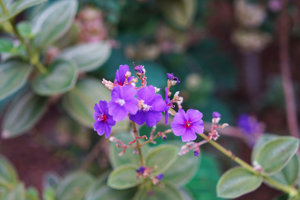 f/2.8
