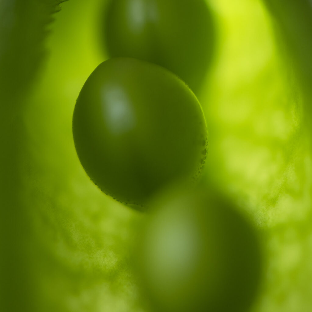 Macro foodfotografie van een doorschijnend groen detail met mooie gloed bij tegenlicht