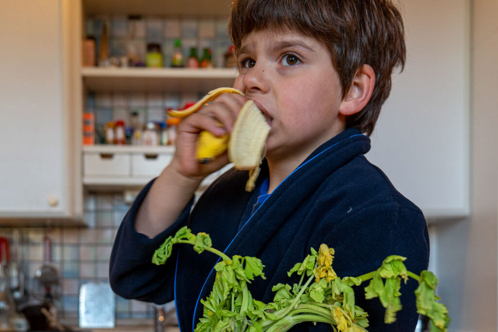Sequentie 'Een dag uit het leven van Felix' voor je portfolio samenstellen